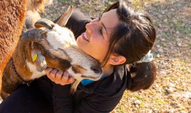 L dove gli animali vivono liberi, salvati da macelli e allevamenti:  il "Parco Paradiso" di Mola